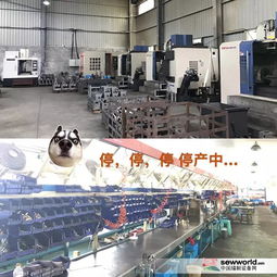 環保風暴下小工廠的生存困境 價格優勢不再，轉型之路何在？